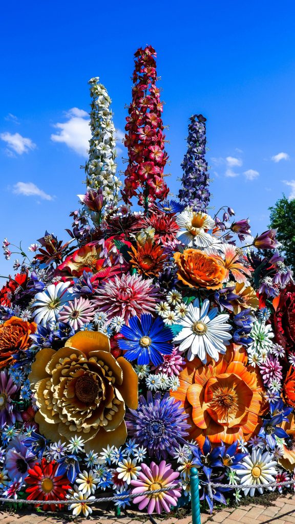 a group of colorful flowers